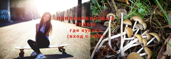 гидропоника Мегион