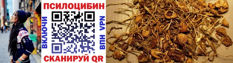 Купить закладки  Камызяк  Псилоцибиновые грибы GOLDEN TEACHER 